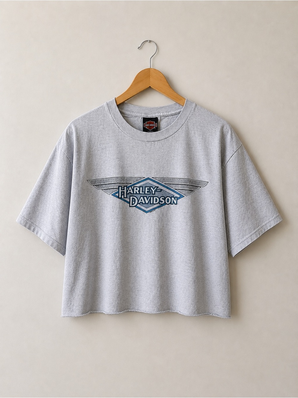 Harley-Davidson Light Gray Kids Tee with Blue Logo
